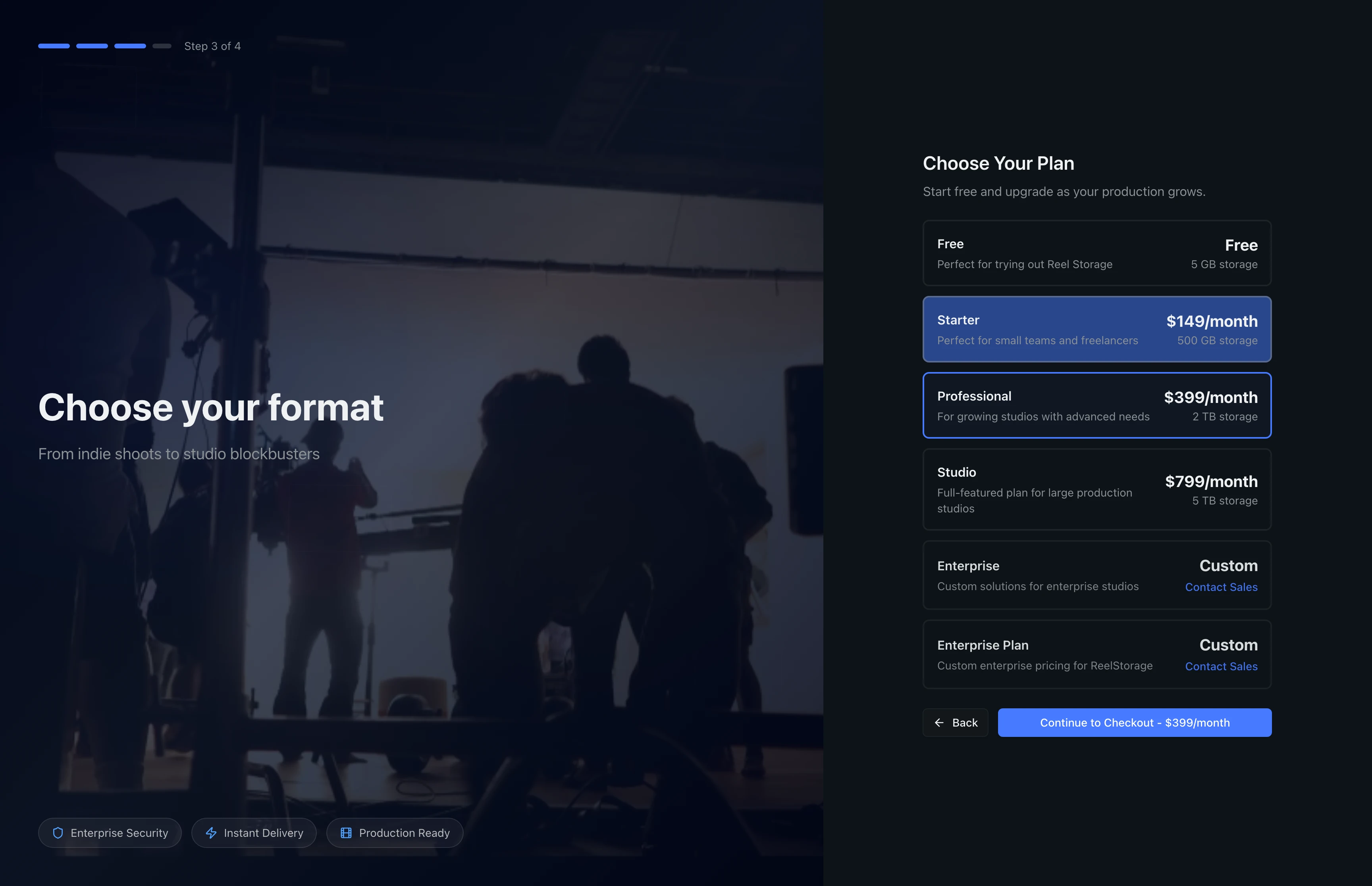 Plan selection step showing the Professional plan selected with Continue to Checkout button
