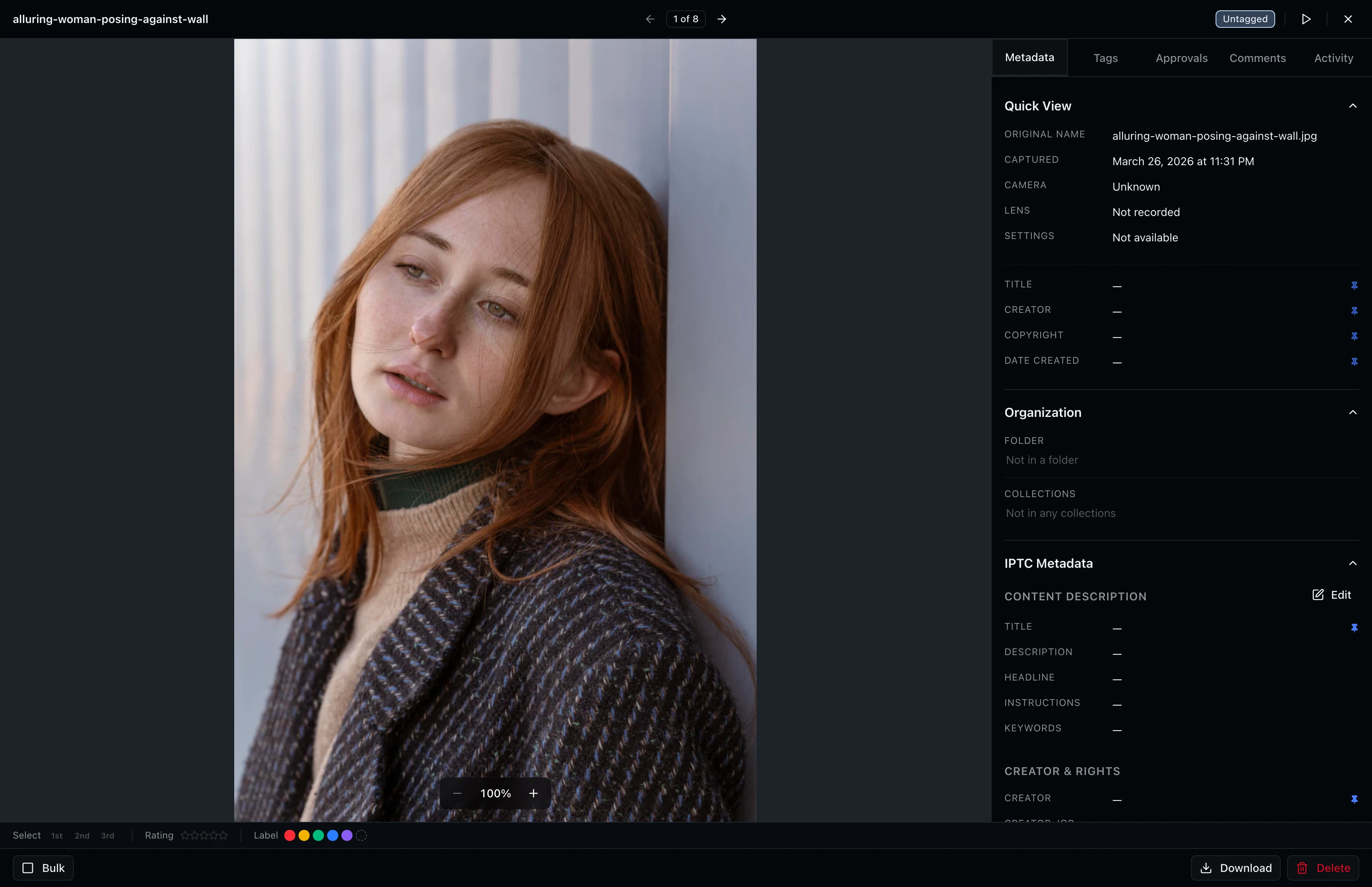 Full-screen asset viewer showing a photo preview with sidebar tabs on the right