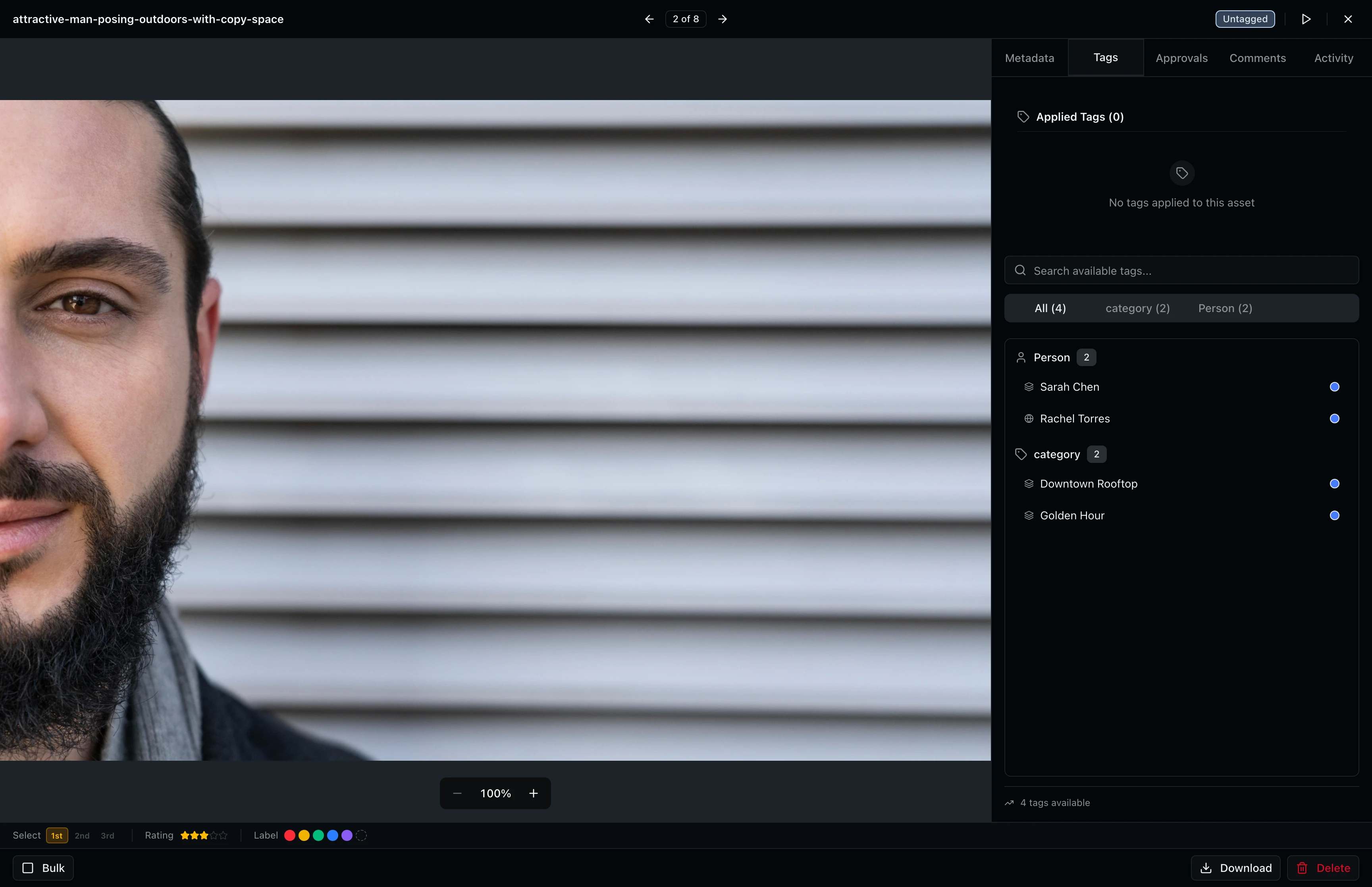 Tags sidebar tab showing tags applied to the asset