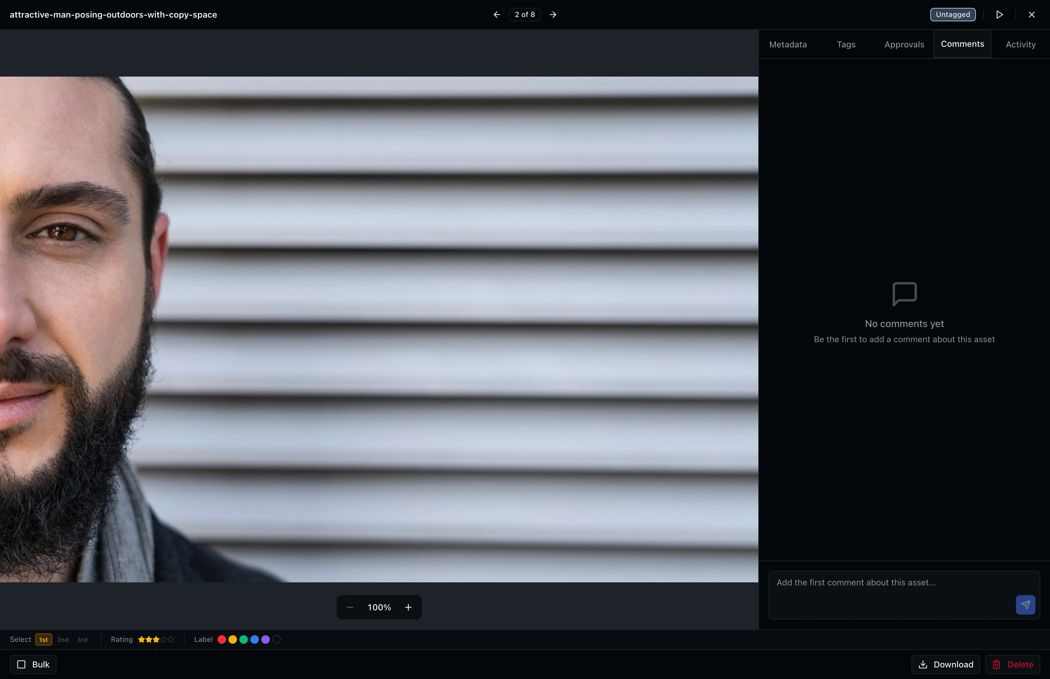Comments sidebar tab showing conversation thread on the asset