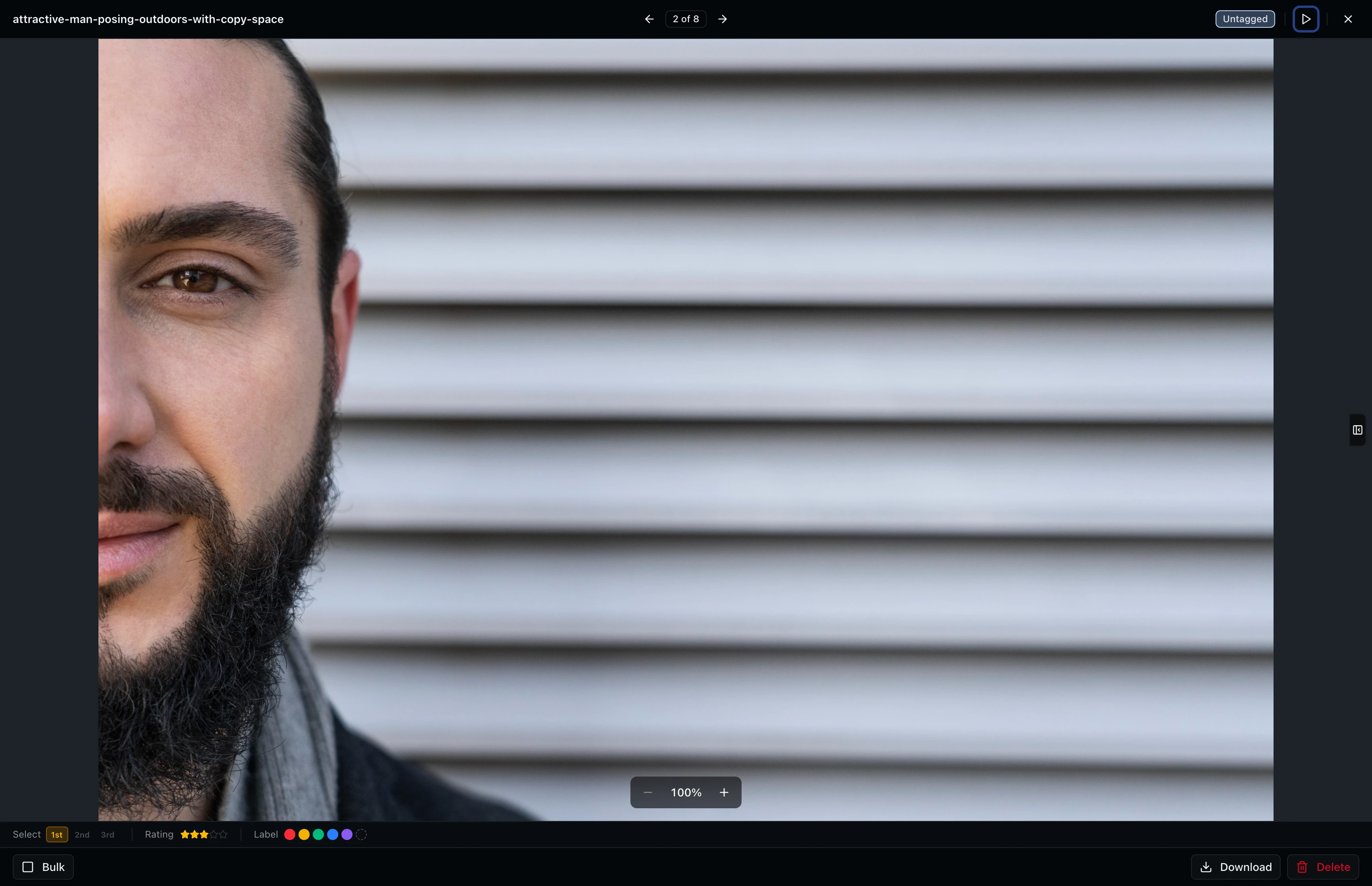 Asset viewer with sidebar collapsed showing the full preview area