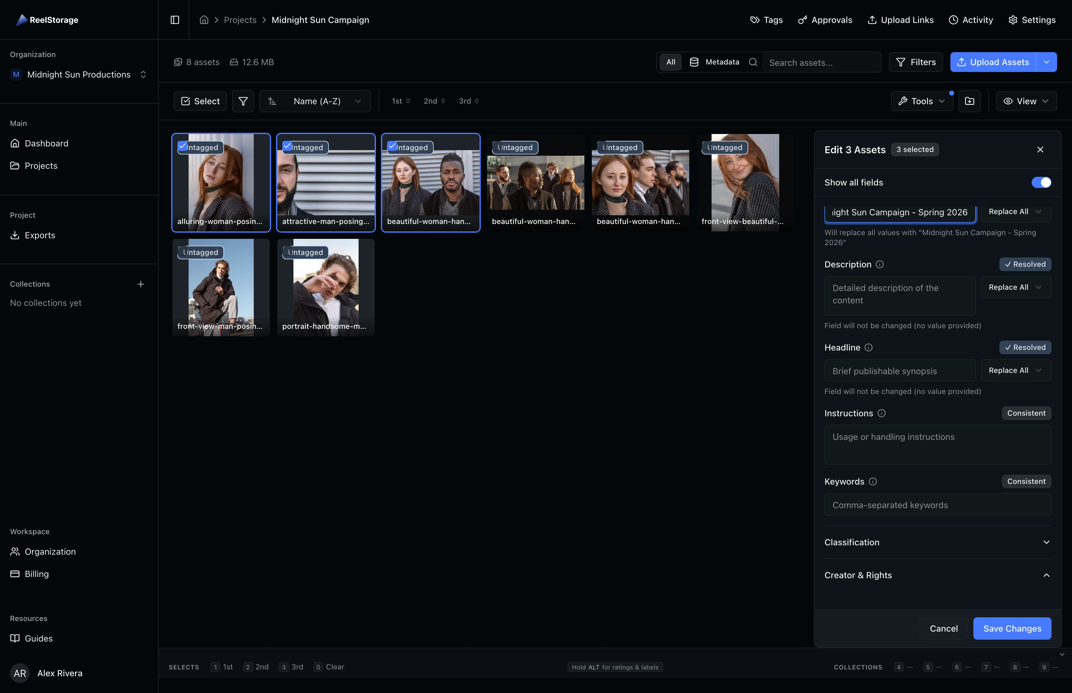 Bulk metadata editor with shared title and copyright fields filled, ready to save across selected assets